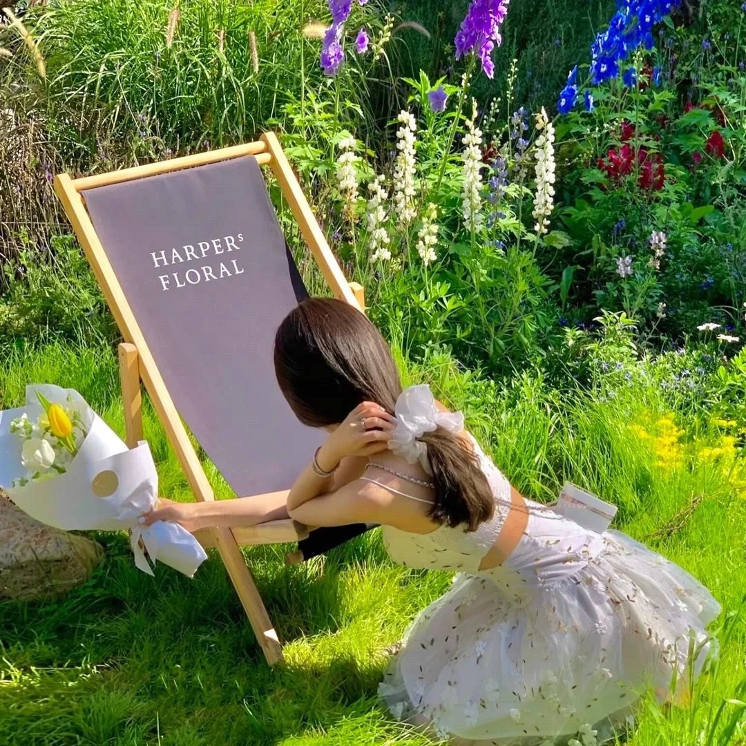 我在古代当神豪